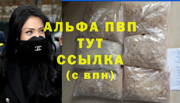 гидра Ладушкин