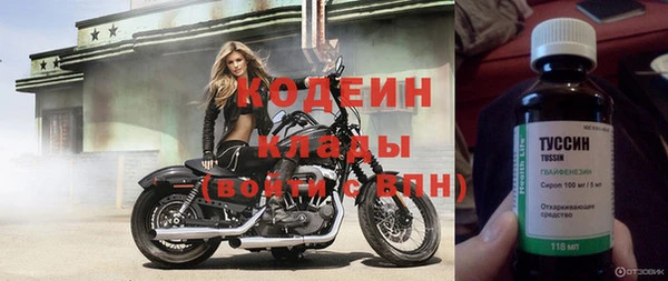 прущие грибы Новосибирск