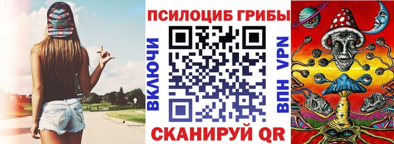 закладки  Вышний Волочёк  Галлюциногенные грибы мухоморы 